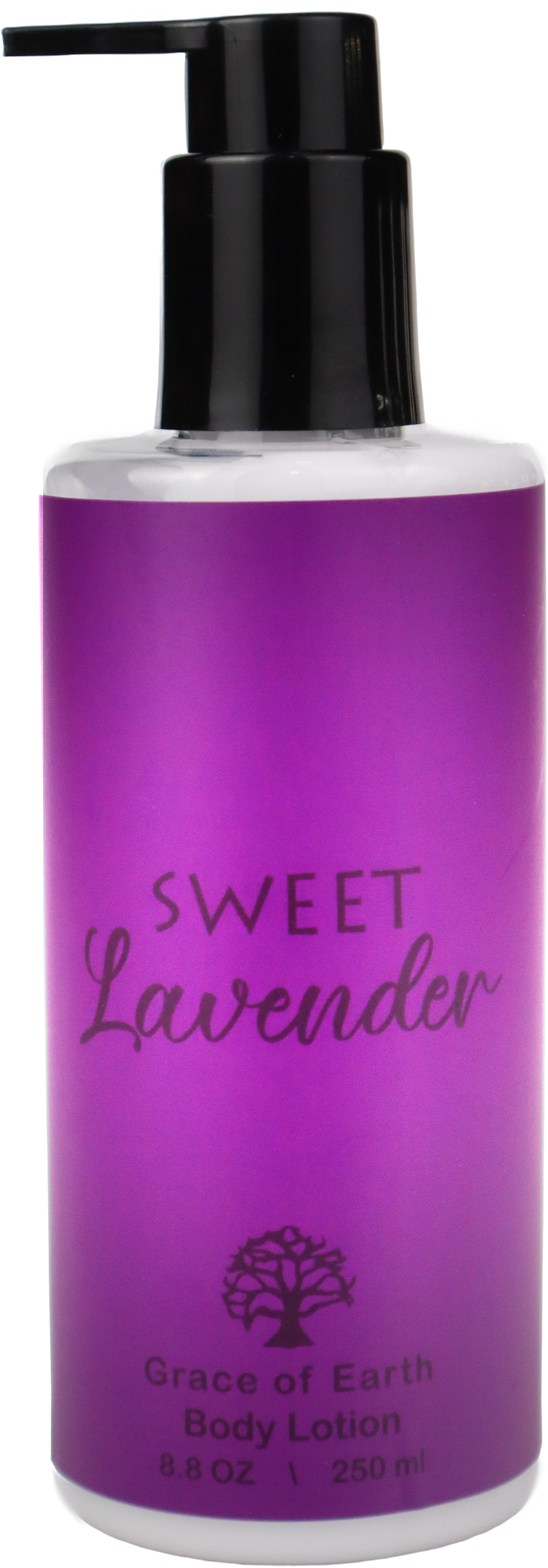 SWEET LAVENDER