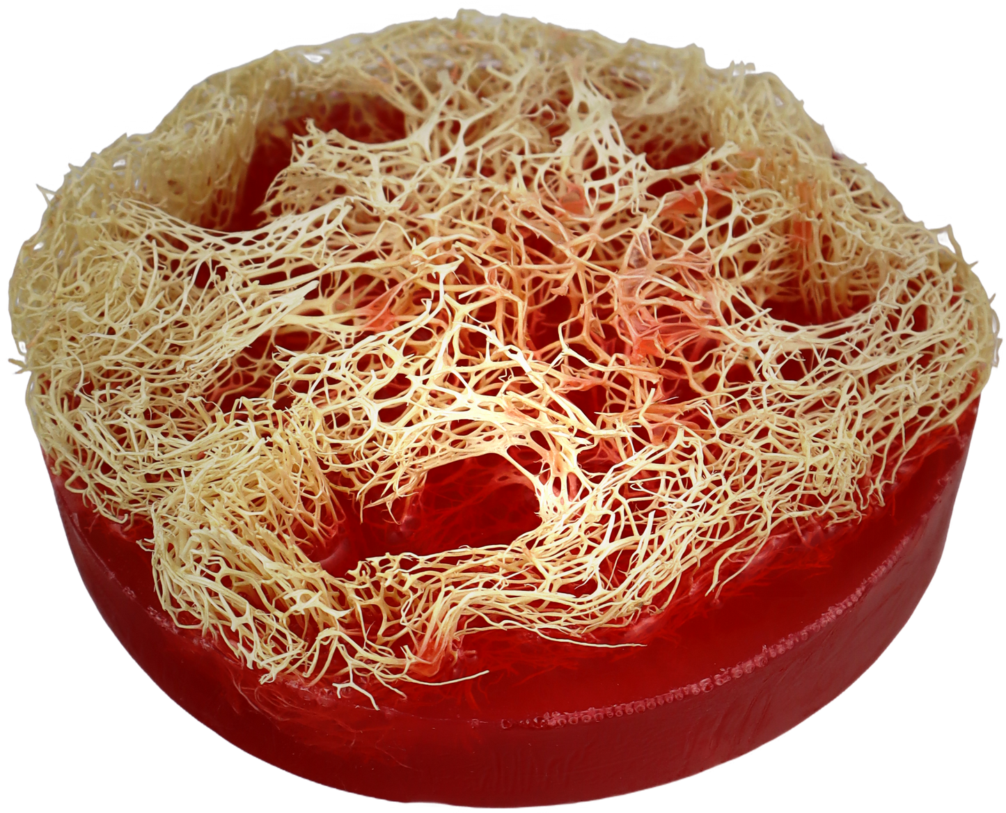 RED LOOFA