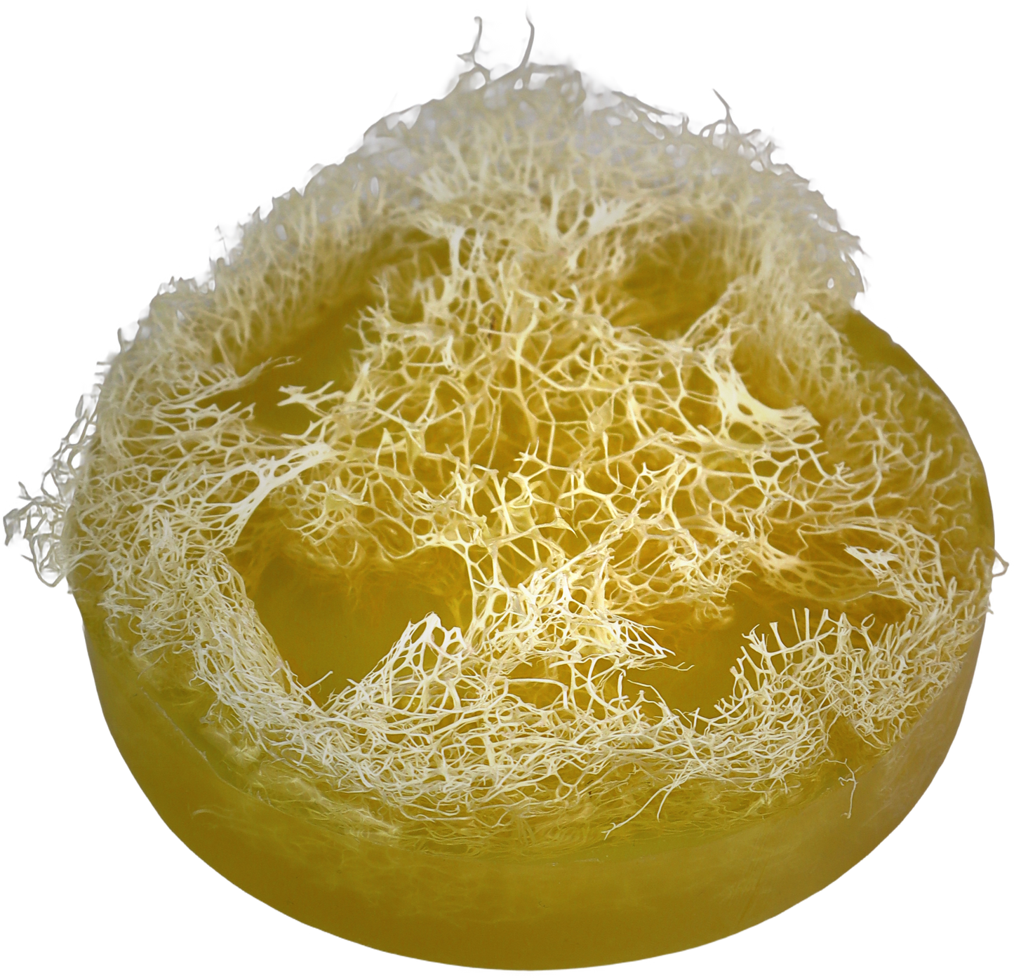 YELLOW LOOFA