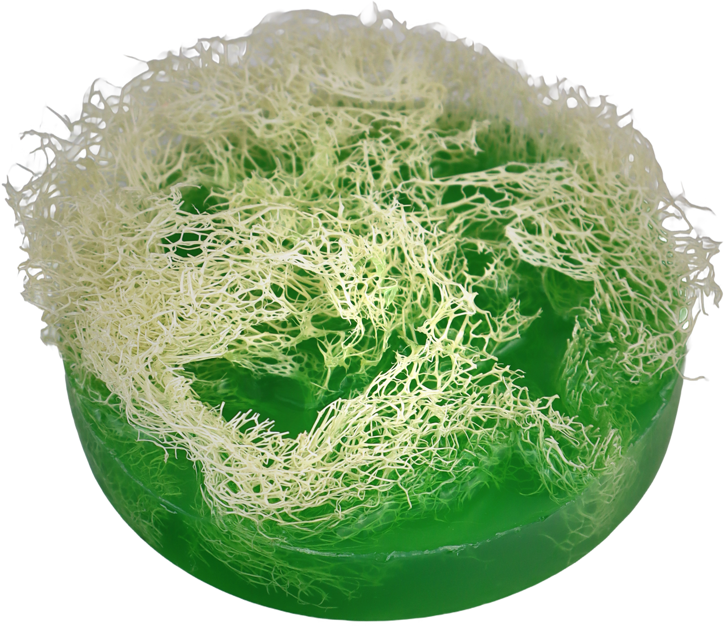 GREEN LOOFA