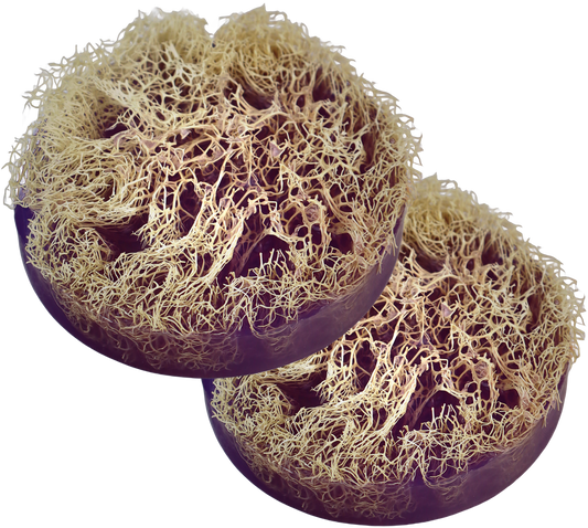 ANY 2 ROUND LOOFAH SOAP OFFER