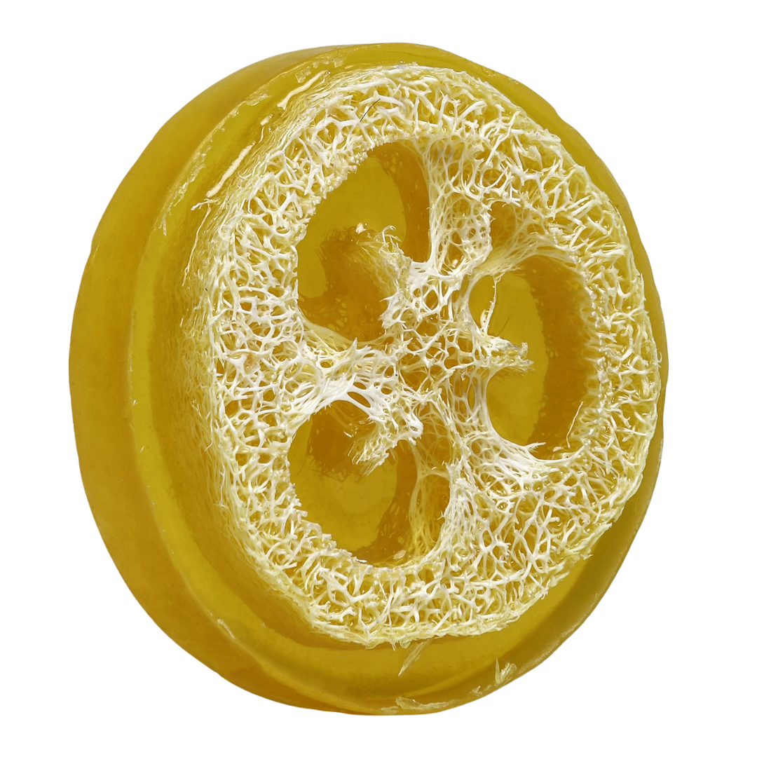 Papaya Loofah Soap (Round)